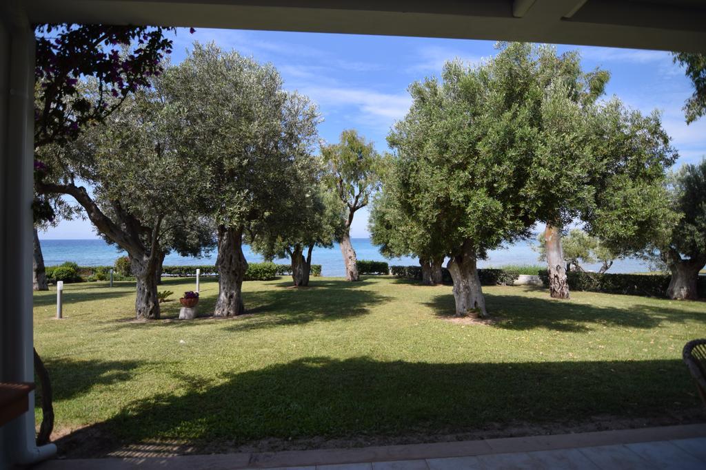 Villa Anemi 네아 스키오니 외부 사진