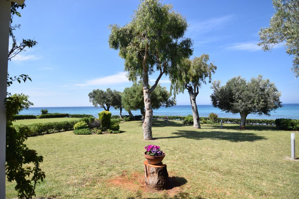 Villa Anemi 네아 스키오니 외부 사진