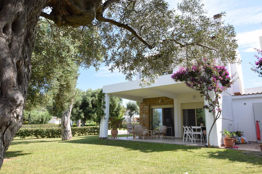 Villa Anemi 네아 스키오니 외부 사진